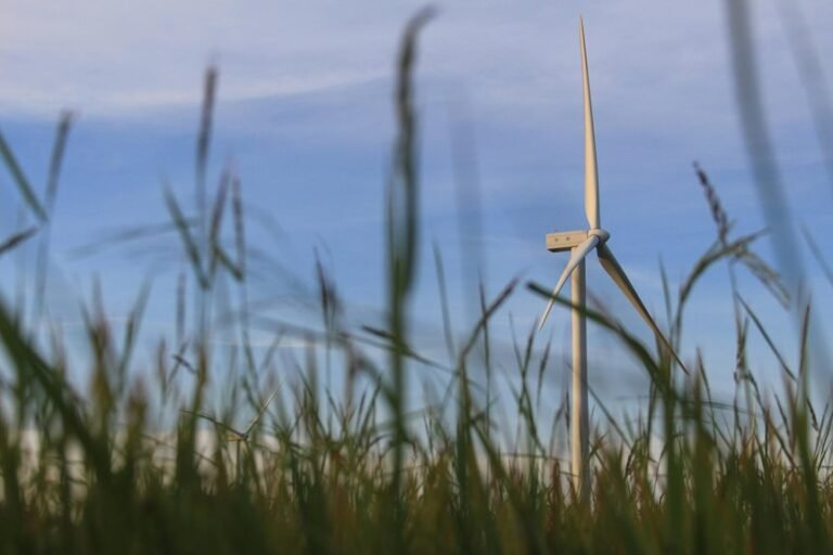 reliable digital growth solution